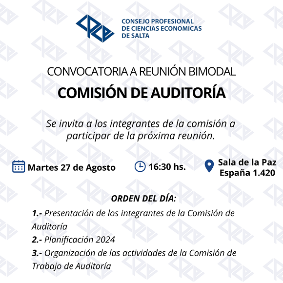 COMISIÓN DE AUDITORÍA