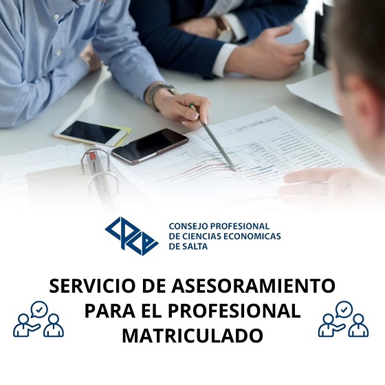 SERVIVIO DE ASESORAMIENTO PARA EL PROFESIONAL MATRICULADO