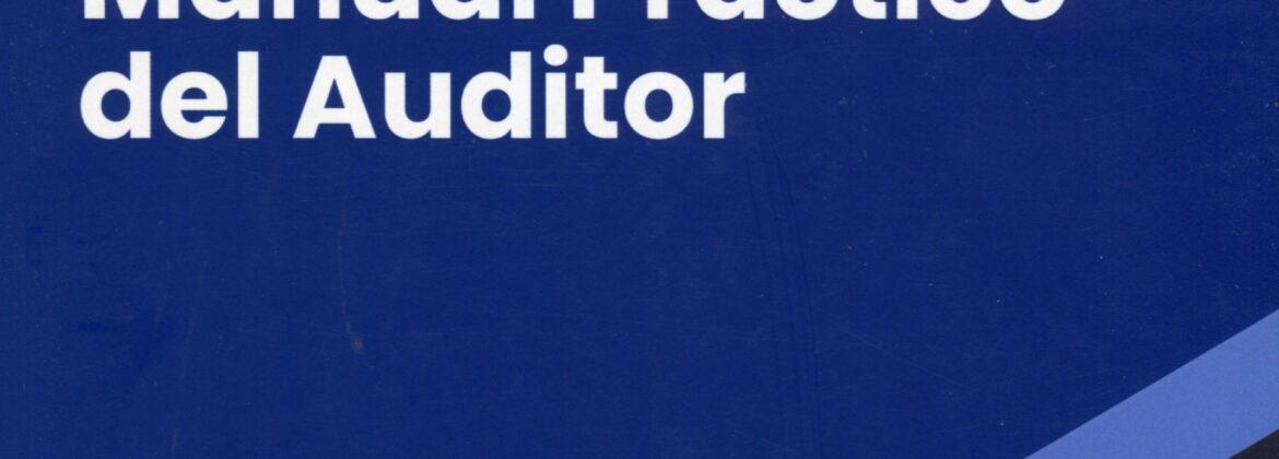 Manual practico del auditor- Zonet