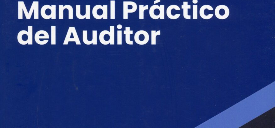 Manual practico del auditor- Zonet